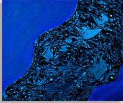 depths of blu