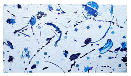 sapphire snow
